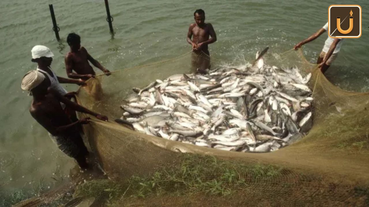 Usthadian Academy / Uttar Pradesh Bags First Prize For Best State In Inland Fisheries